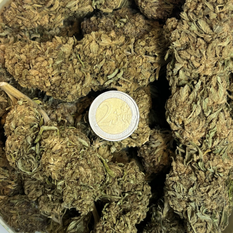 Photo du magasin FAST CBD SHOP à Compiègne