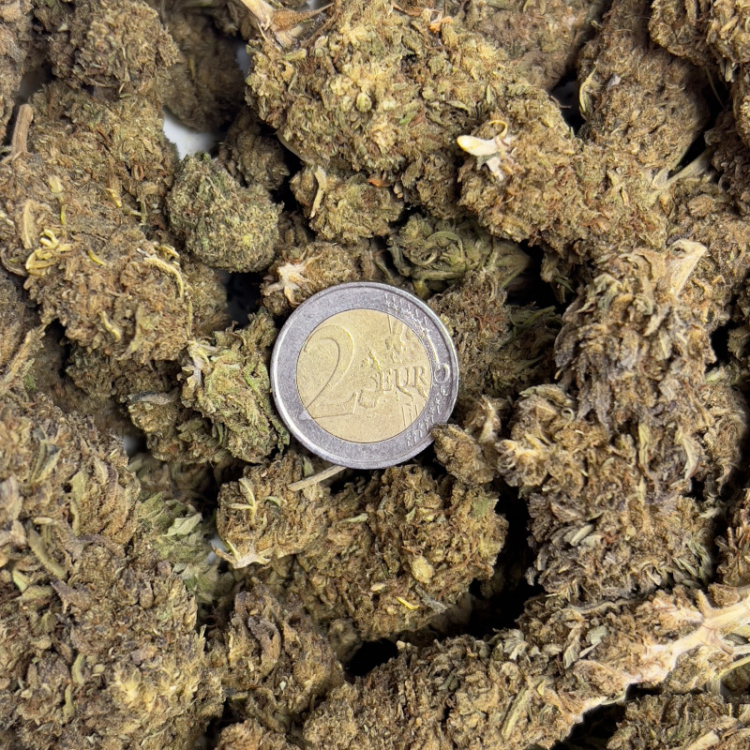 Photo du magasin FAST CBD SHOP à Compiègne