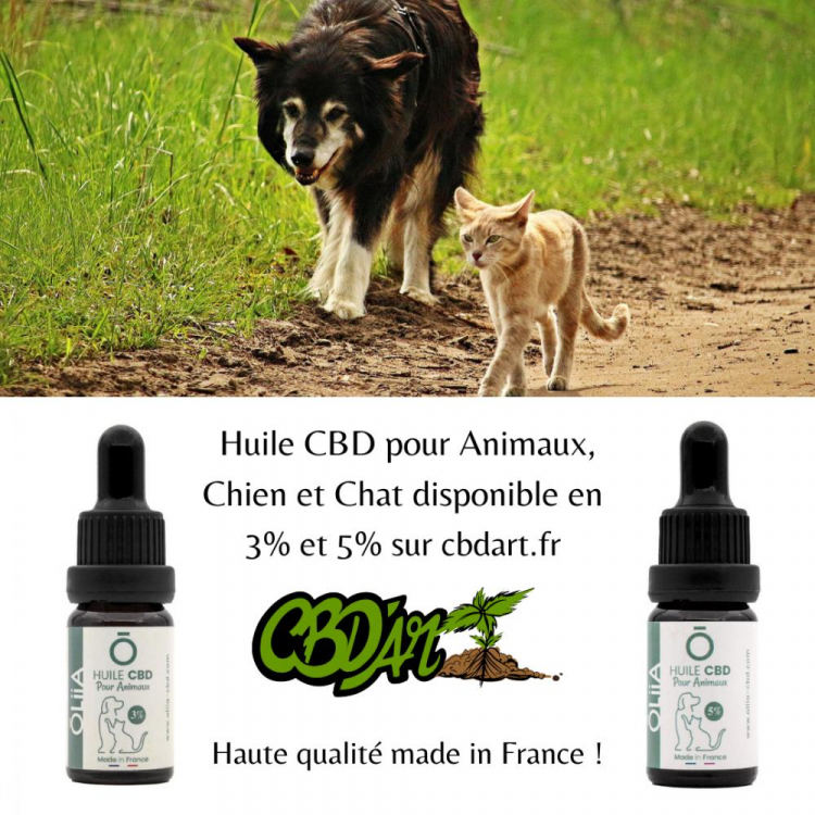 Photo du magasin CBD