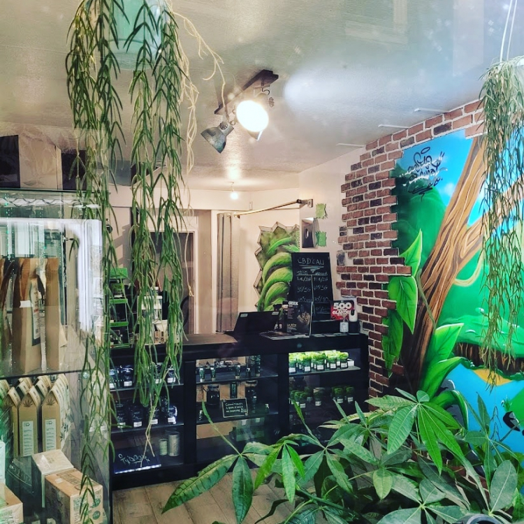 Photo du magasin Cbd