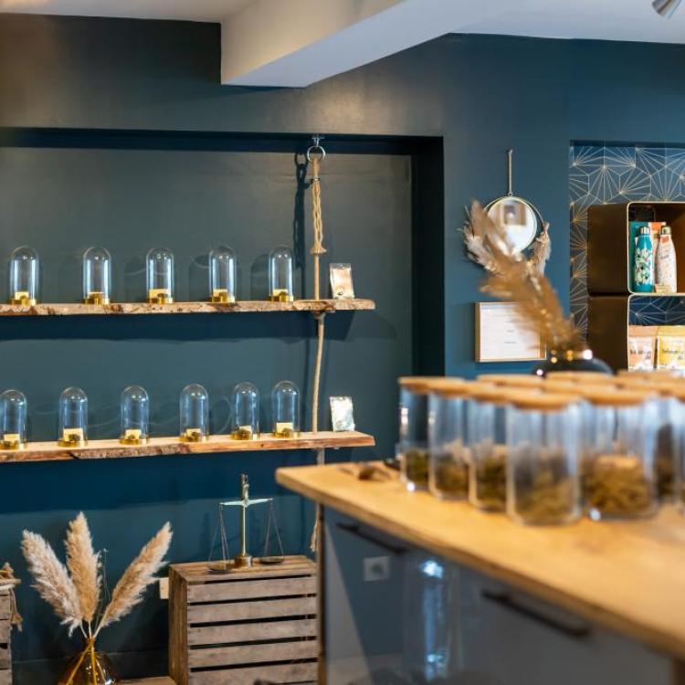 Photo du magasin Green care Craponne à Craponne