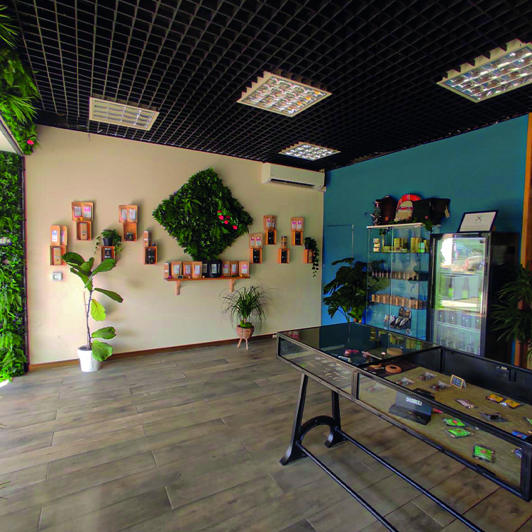 Photo du magasin Barong CBD Six-Fours à Ollioules Photo du magasin Barong CBD Six-Fours à Ollioules