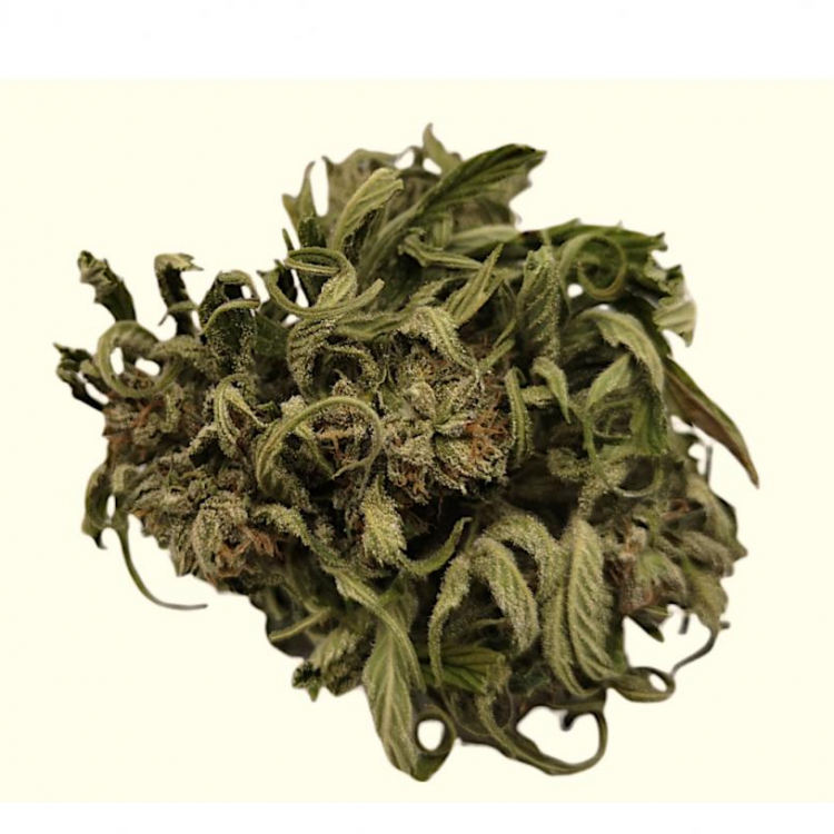 Photo du magasin Aroma & CBD à Cahors Photo du magasin Aroma & CBD à Cahors