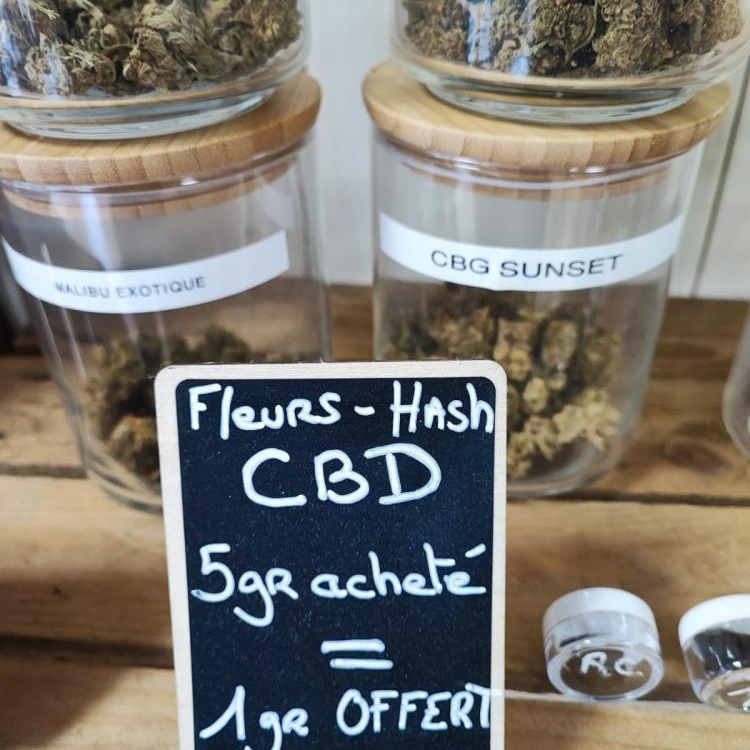 Photo du magasin TERP-N à Argentré-du-Plessis Photo du magasin TERP-N à Argentré-du-Plessis