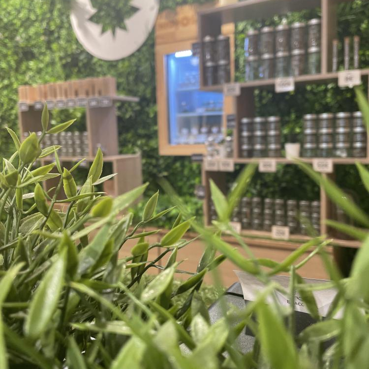 Photo du magasin High Society à Lorient