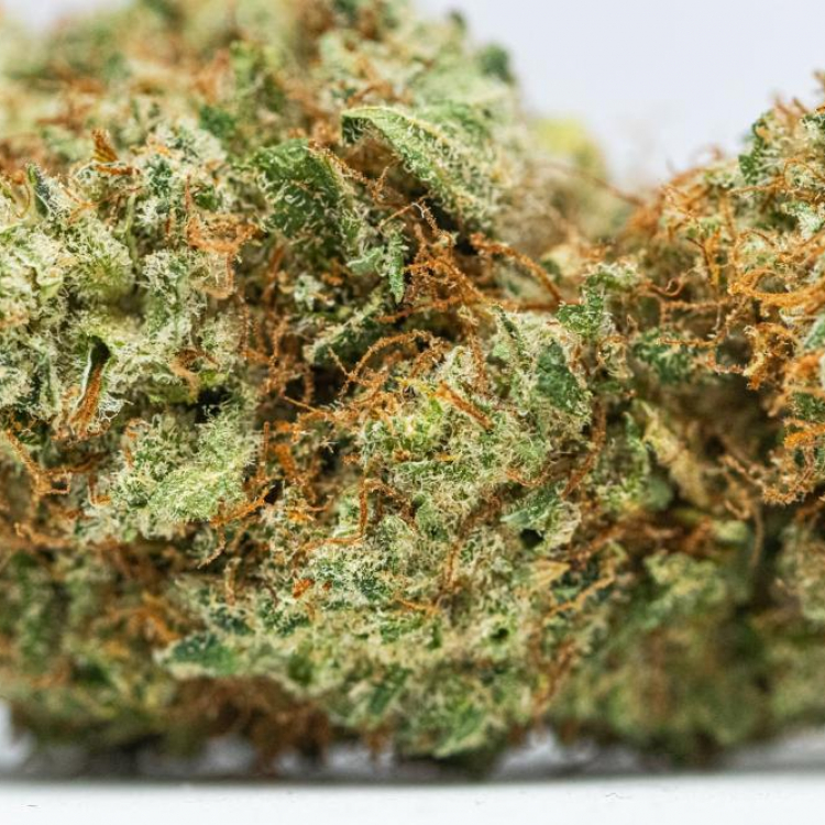 Photo du magasin High Society à Lorient