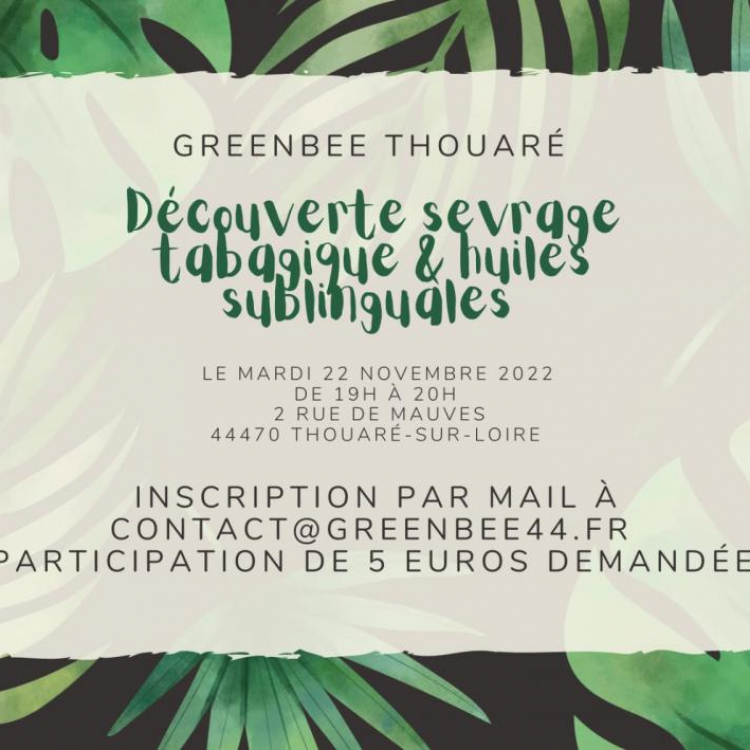 Photo du magasin GreenBee Thouaré sur Loire à Thouaré-sur-Loire Photo du magasin GreenBee Thouaré sur Loire à Thouaré-sur-Loire