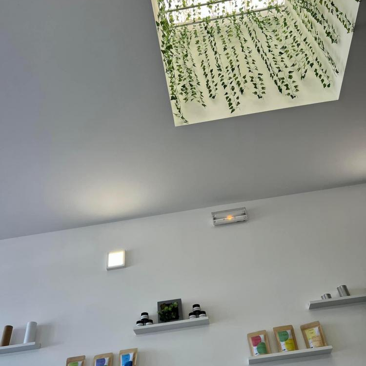 Photo du magasin Green Potion à Thionville Photo du magasin Green Potion à Thionville