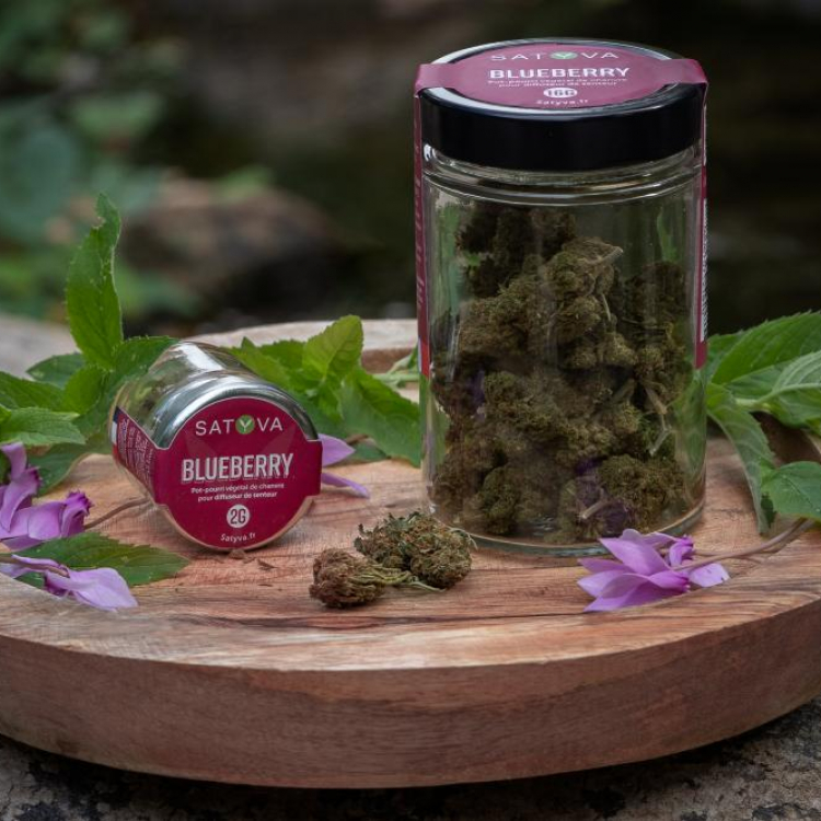 Photo du magasin SATYVA à Montélimar Photo du magasin SATYVA à Montélimar