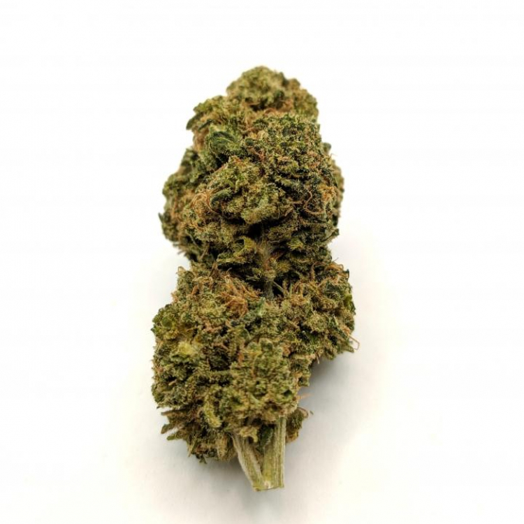 Photo du magasin CBD-District à Versailles Photo du magasin CBD-District à Versailles