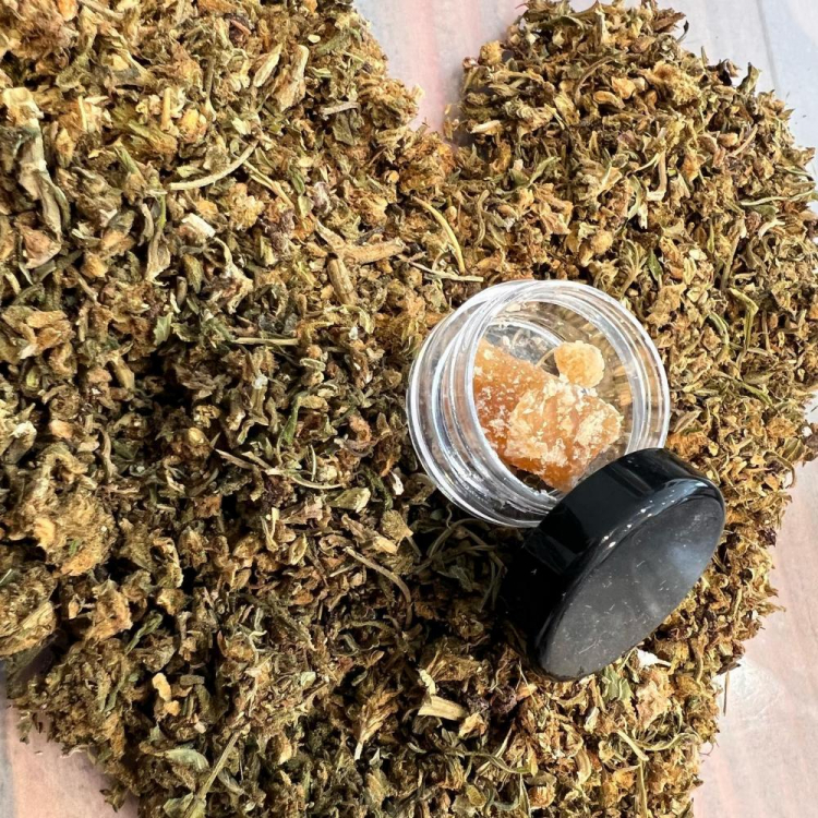 Photo du magasin ZAD Chartres à Chartres Photo du magasin ZAD Chartres à Chartres