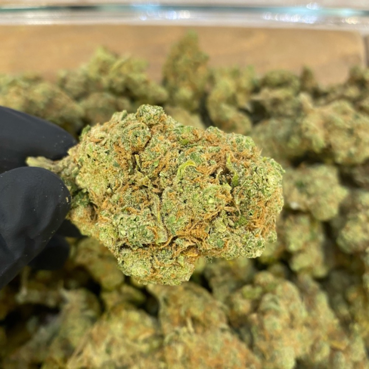 Photo du magasin Salvia la pépite verte à Le Lavandou Photo du magasin Salvia la pépite verte à Le Lavandou