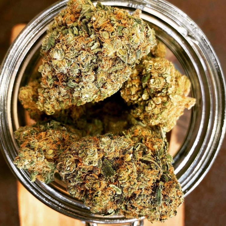 Photo du magasin Salvia la pépite verte à Le Lavandou Photo du magasin Salvia la pépite verte à Le Lavandou