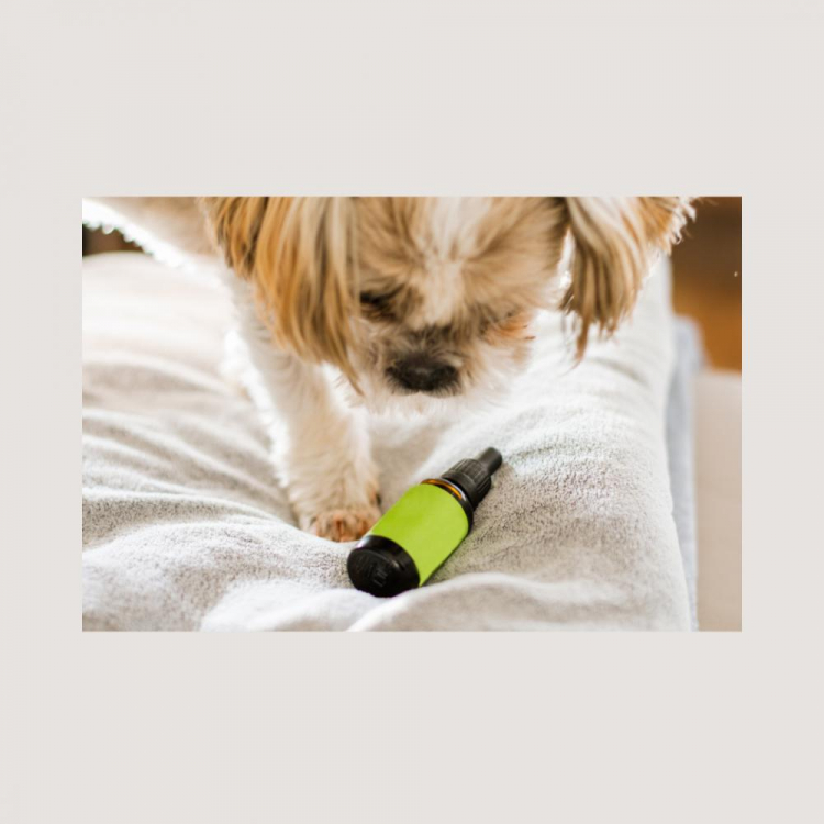 Photo du magasin Perfect time à Paris