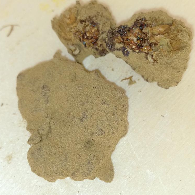 Photo du magasin Hemproad ( HR ) à Saint-André-les-Vergers Photo du magasin Hemproad ( HR ) à Saint-André-les-Vergers