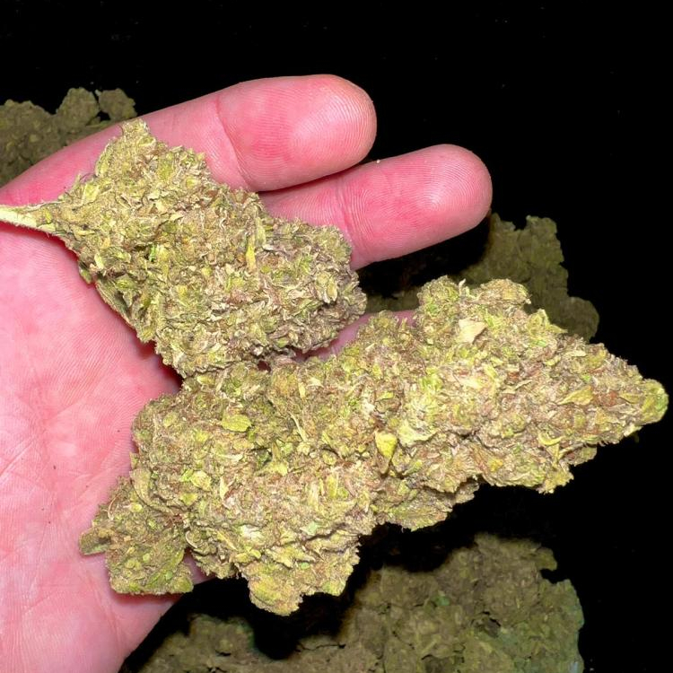 Photo du magasin Hemproad ( HR ) à Saint-André-les-Vergers Photo du magasin Hemproad ( HR ) à Saint-André-les-Vergers