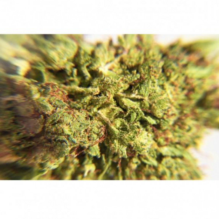 Photo du magasin Deli Hemp Nancy à Nancy Photo du magasin Deli Hemp Nancy à Nancy