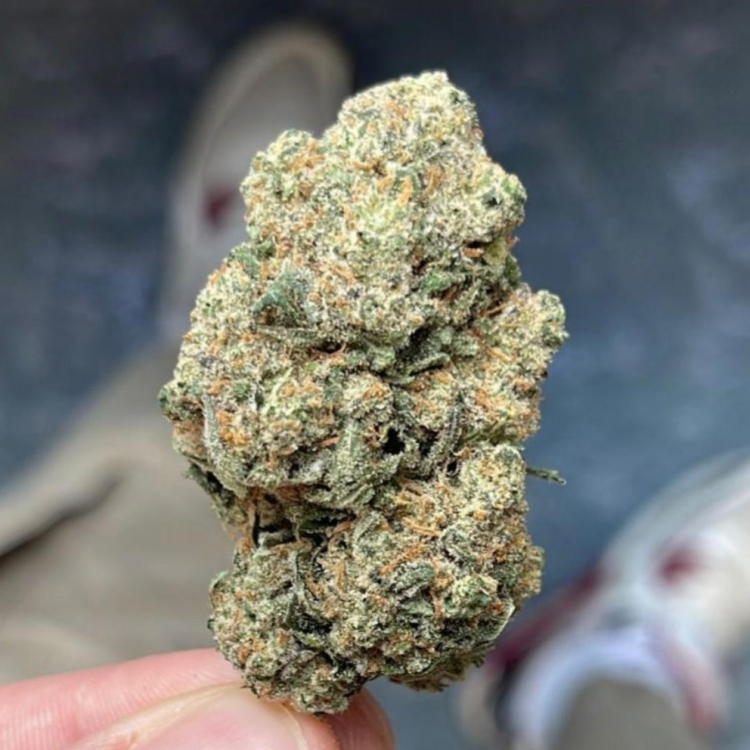 Photo du magasin CBD Bio SHOP CAEN à Caen Photo du magasin CBD Bio SHOP CAEN à Caen