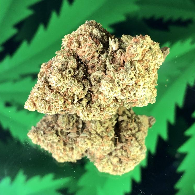 Photo du magasin Nabisca.fr à Dijon