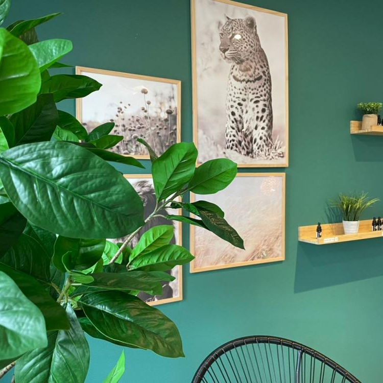 Photo du magasin Green Dream  CBD Yvetot à Yvetot