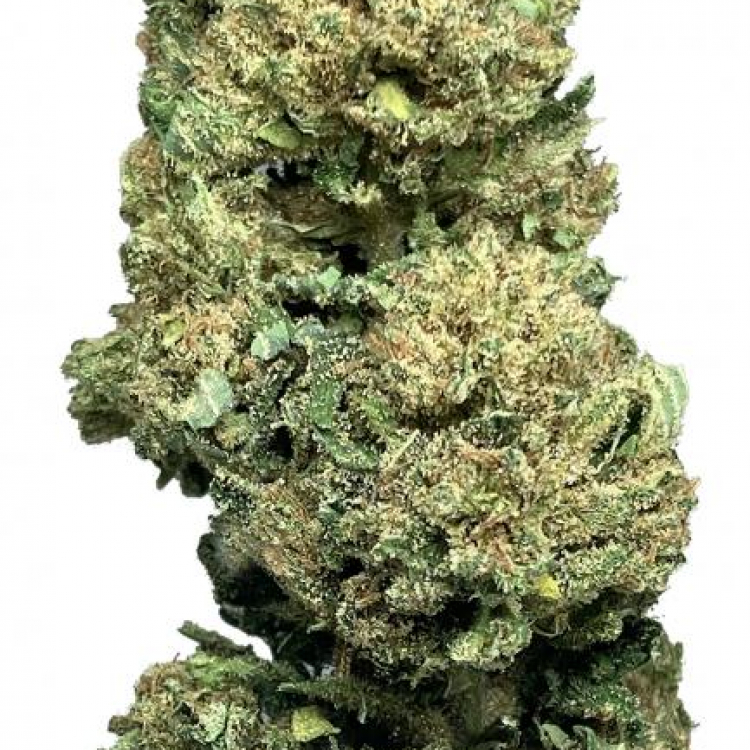 Photo du magasin Chanvre DC à Troinex Photo du magasin Chanvre DC à Troinex