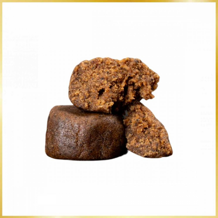 Photo du magasin Sélection Naturelle à Lausanne Photo du magasin Sélection Naturelle à Lausanne