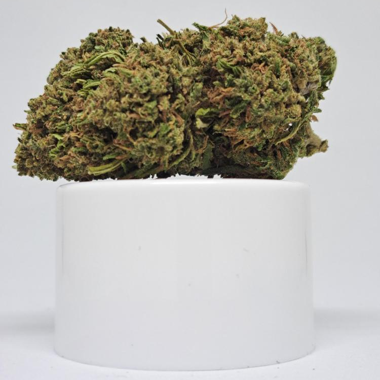 Photo du magasin Royal H CBD livraison 1h à Nanterre