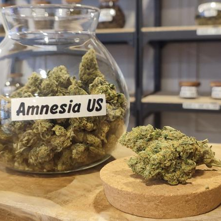 Photo du magasin LH CBD à Criquetot-l Photo du magasin LH CBD à Criquetot-l