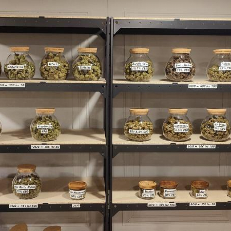 Photo du magasin LH CBD à Criquetot-l Photo du magasin LH CBD à Criquetot-l