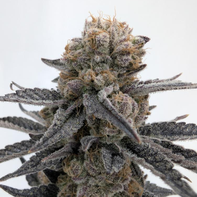 Photo du magasin NiMa Farm à Tracy-Bocage Photo du magasin NiMa Farm à Tracy-Bocage