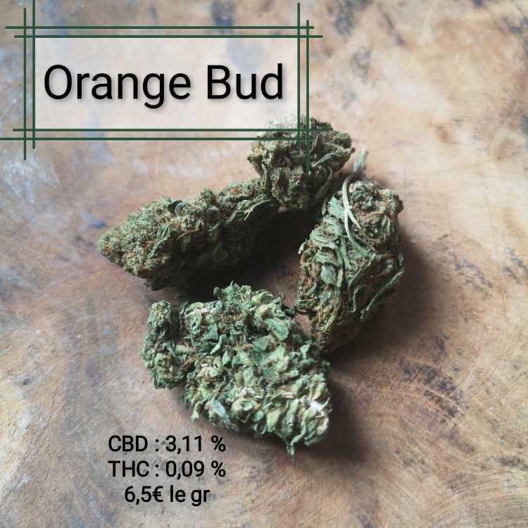 Photo du magasin WeedStock à Longwy Photo du magasin WeedStock à Longwy