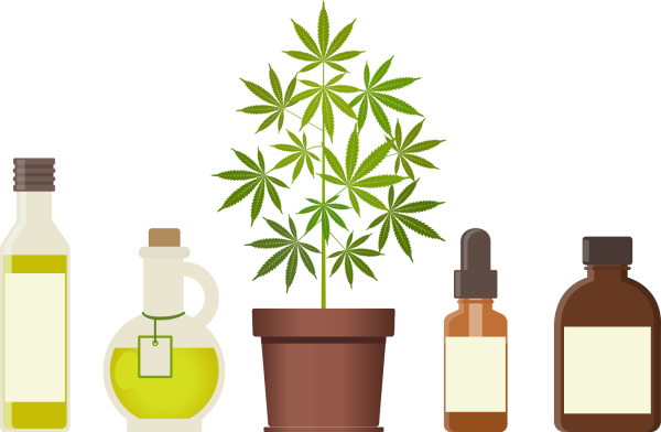 Le cannabis CBD, un produit respectant la législation