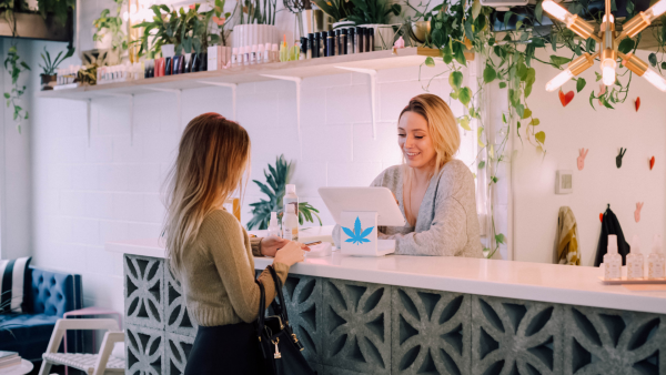 Services pour les professionnels du CBD Services pour les professionnels du CBD