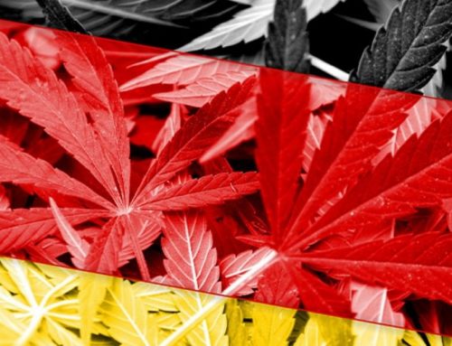 Légalisation du cannabis en Allemagne, bientôt en France ?