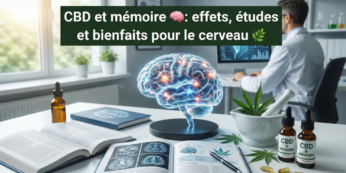 CBD et mémoire 🧠: effets, études et bienfaits pour le cerveau 🌿